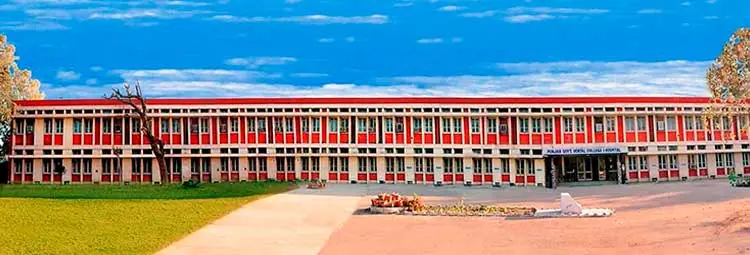 campus Punjab Government Dental College and Hospital