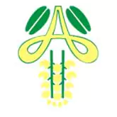 logo Amaltas Institute of Medical Sciences