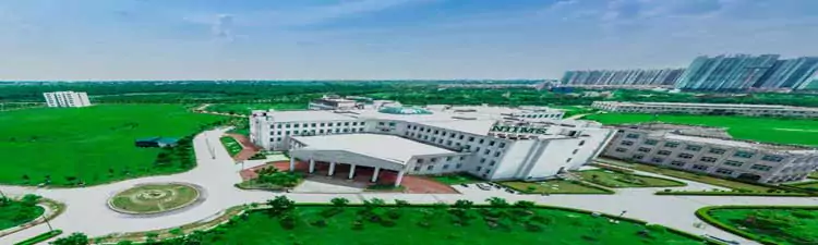 Noida International Institute Of Medical Sciences